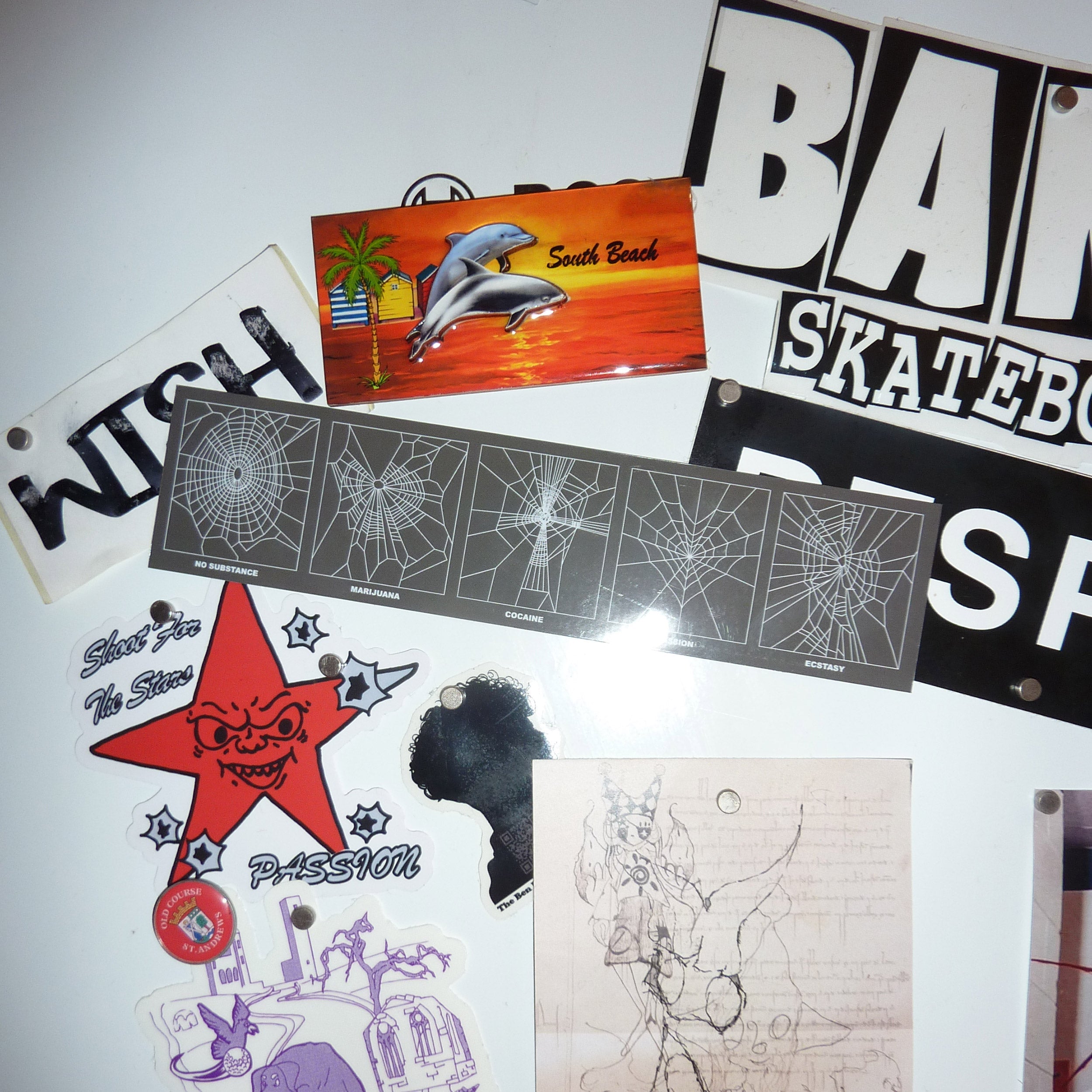 Passion Spider Study Fridge Magnet