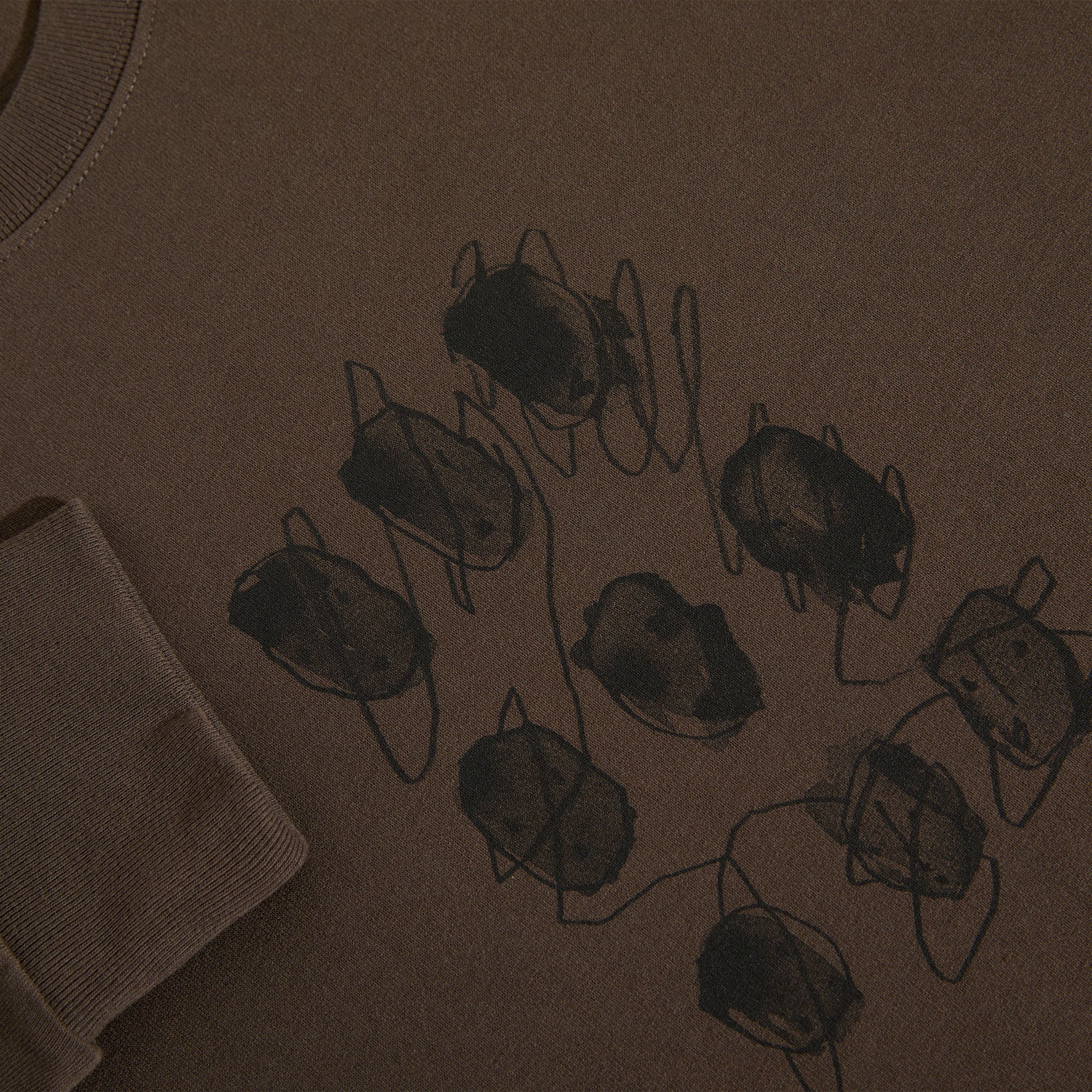 Polar Sequence Longsleeve T-Shirt Brown