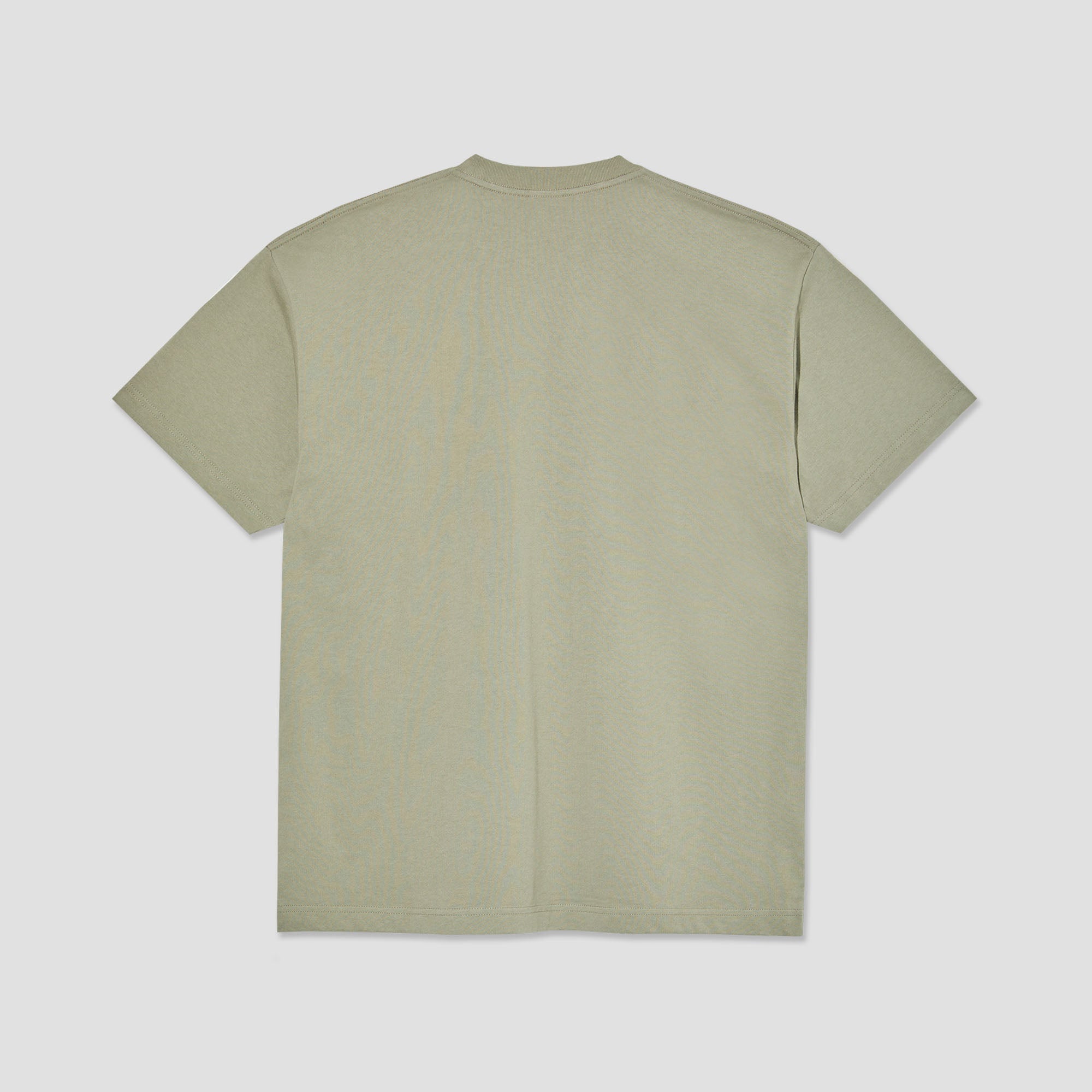 Polar Head 2.0 T-Shirt Vetiver
