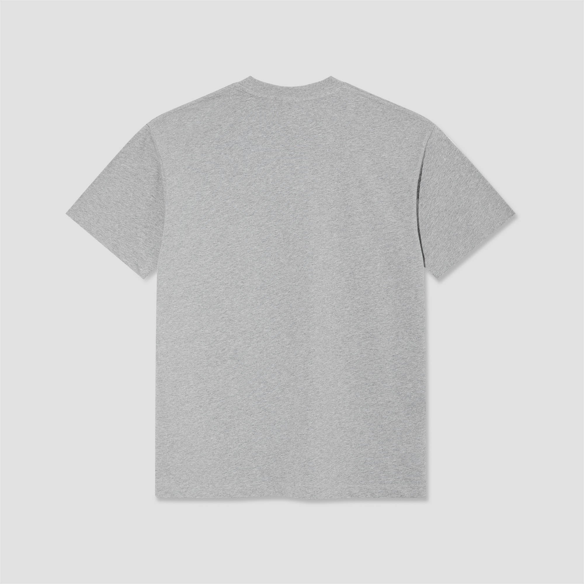 Polar World Domination T-Shirt Heather Grey