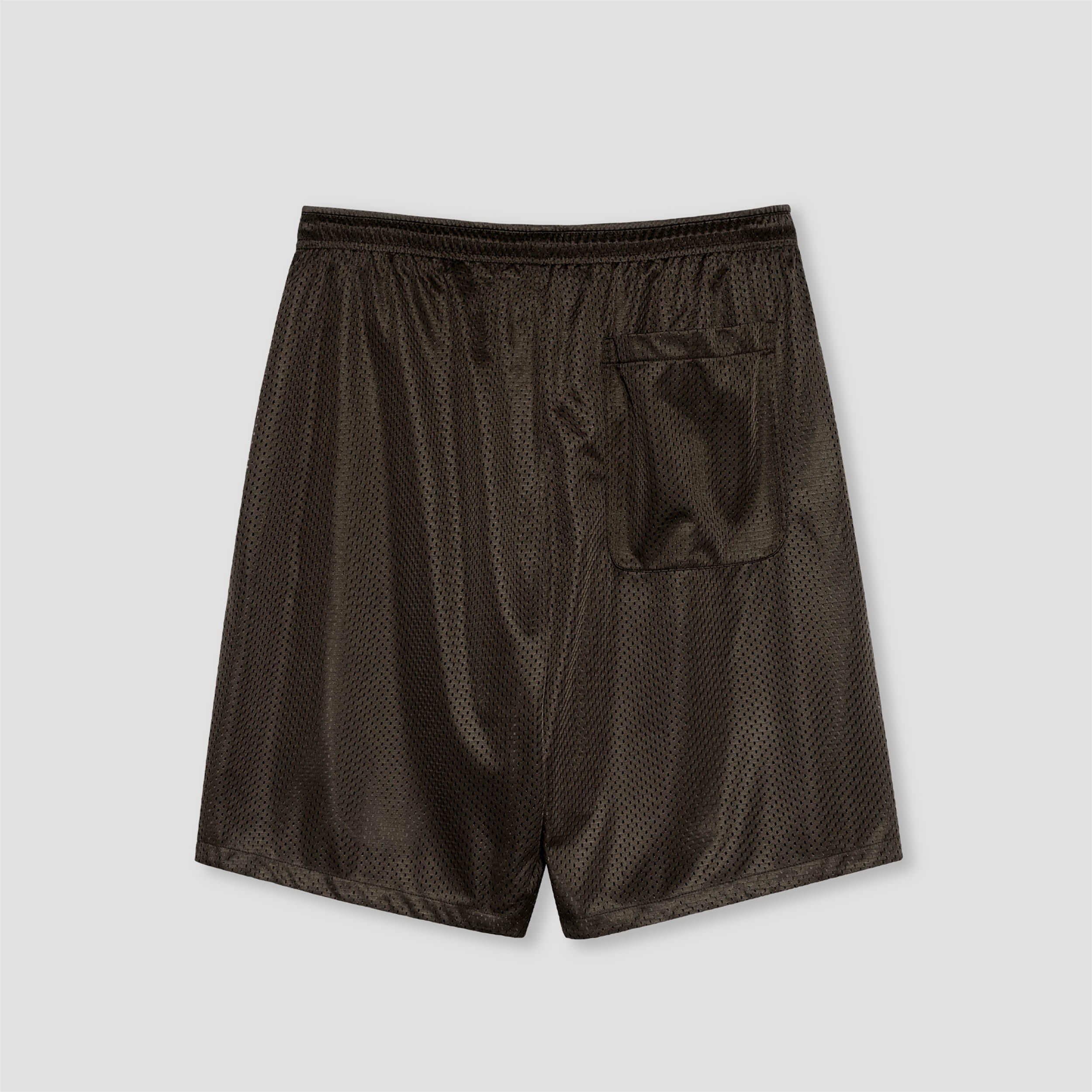 Polar Ray Shorts Brown