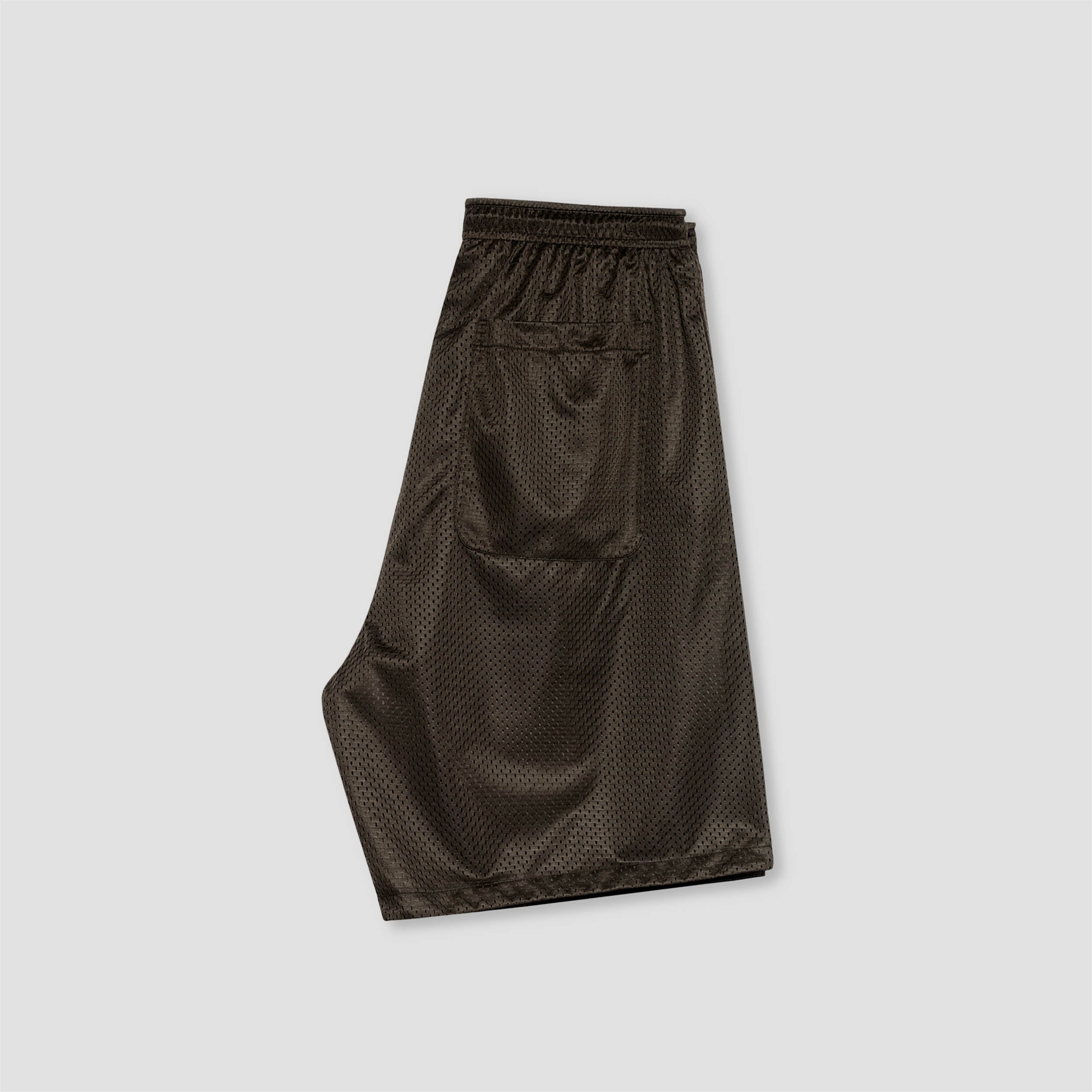 Polar Ray Shorts Brown