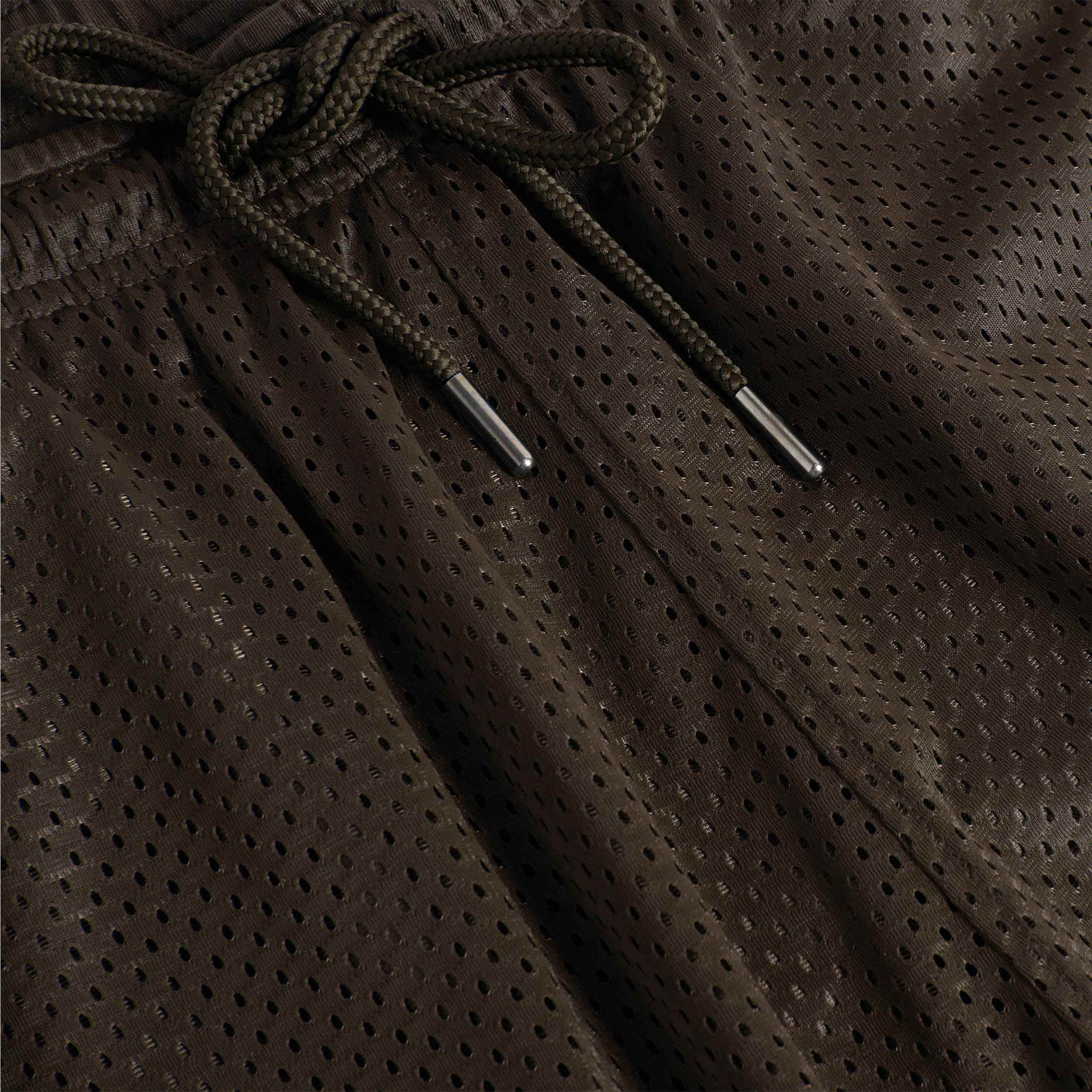 Polar Ray Shorts Brown