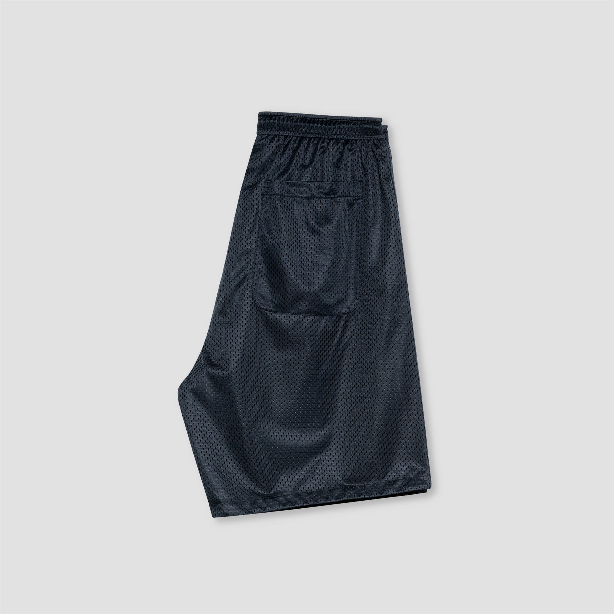 Polar Ray Shorts Navy