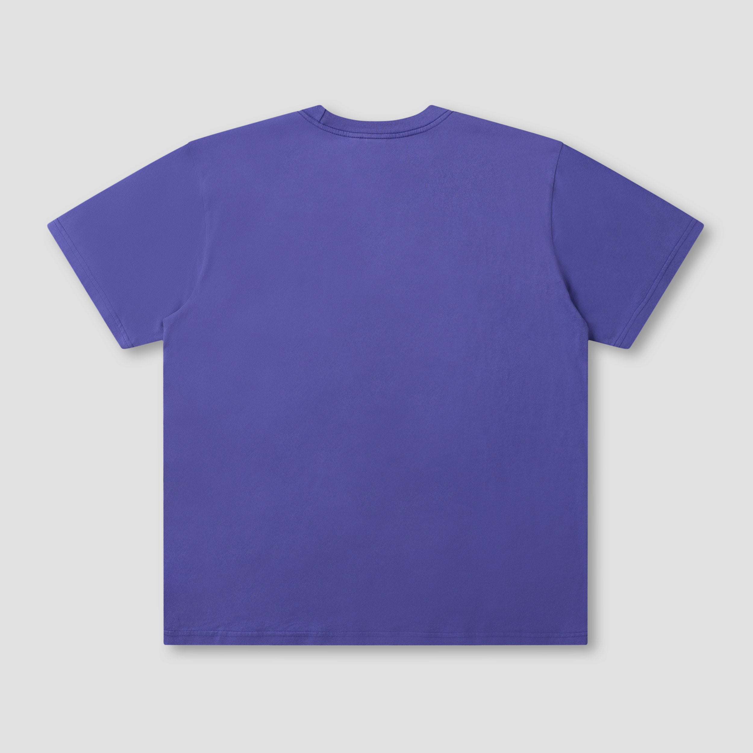 Former Salvage Legacy T-Shirt Washed Violet