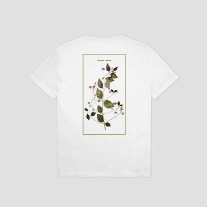 PassPort Lantana T-Shirt White