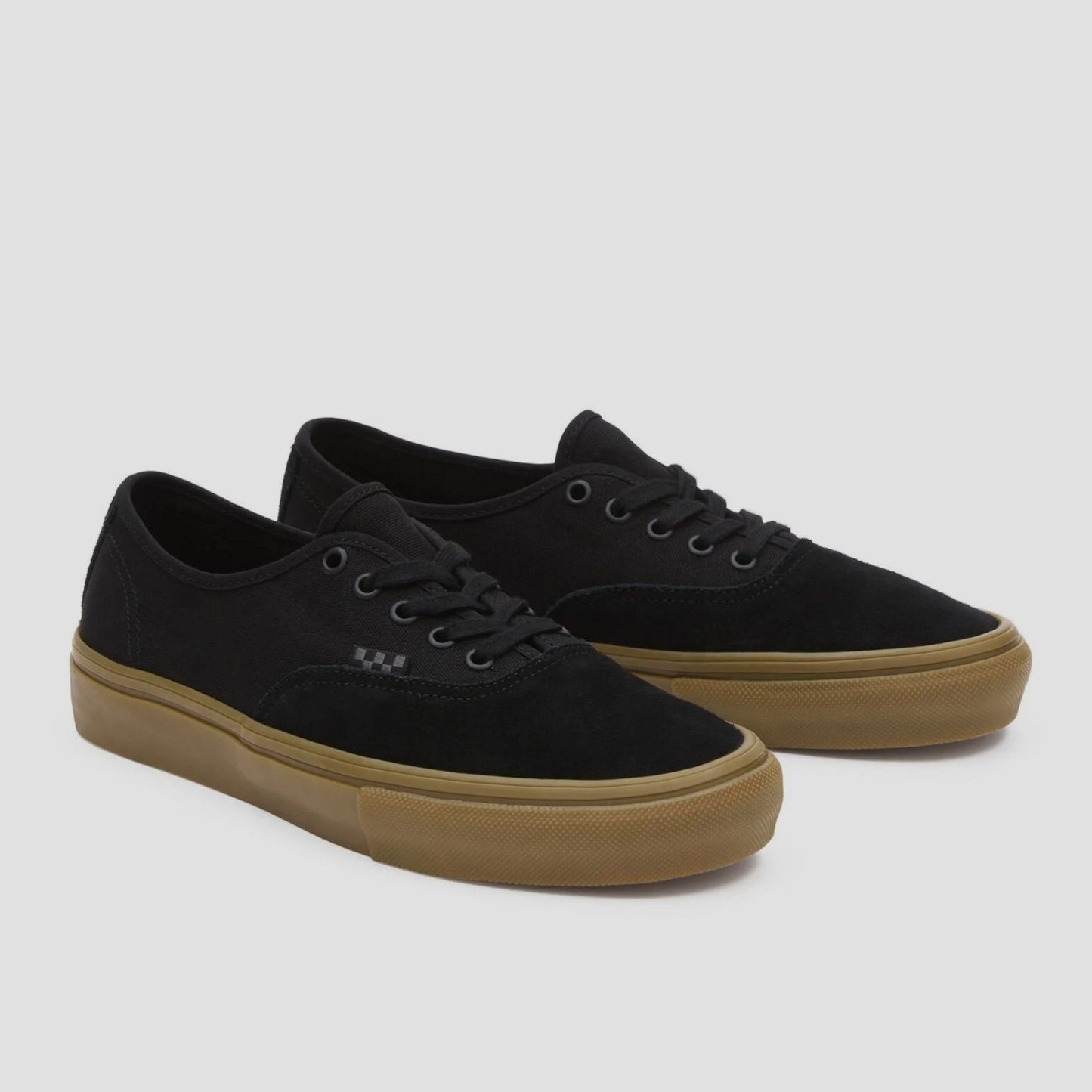 Vans Skate Authentic Skate Shoes Black / Black