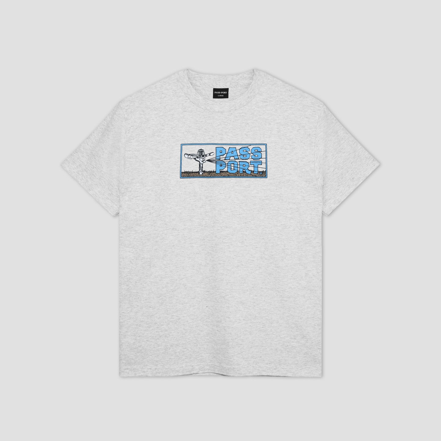 PassPort Water Restrictions T-Shirt Ash