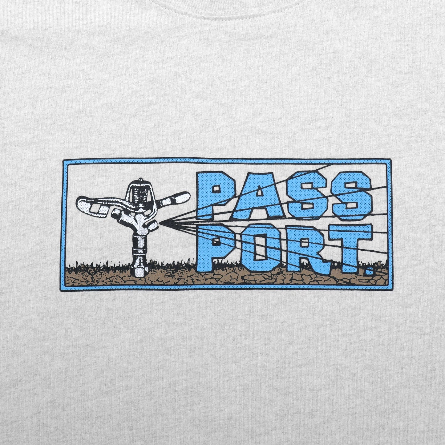 PassPort Water Restrictions T-Shirt Ash