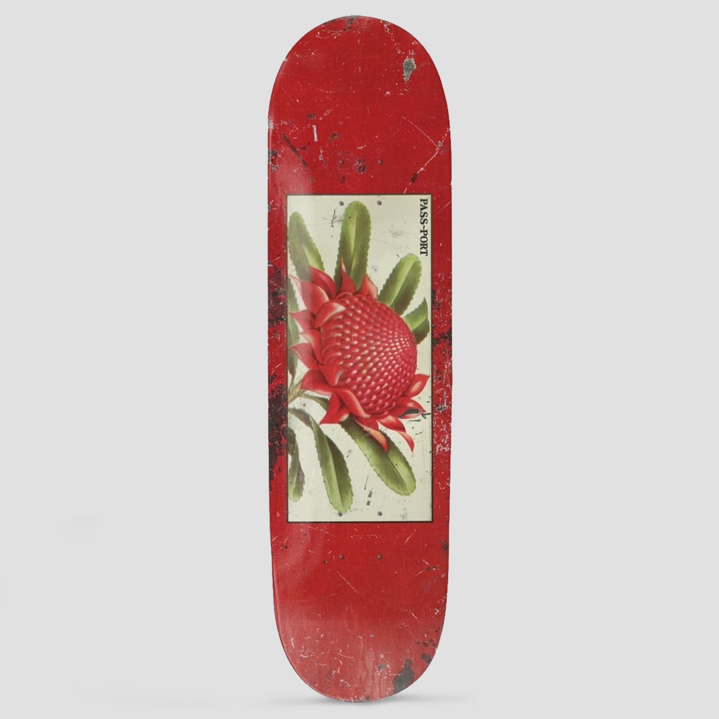 Passport 8.25 Tin Floral Series Waratah Skateboard Deck