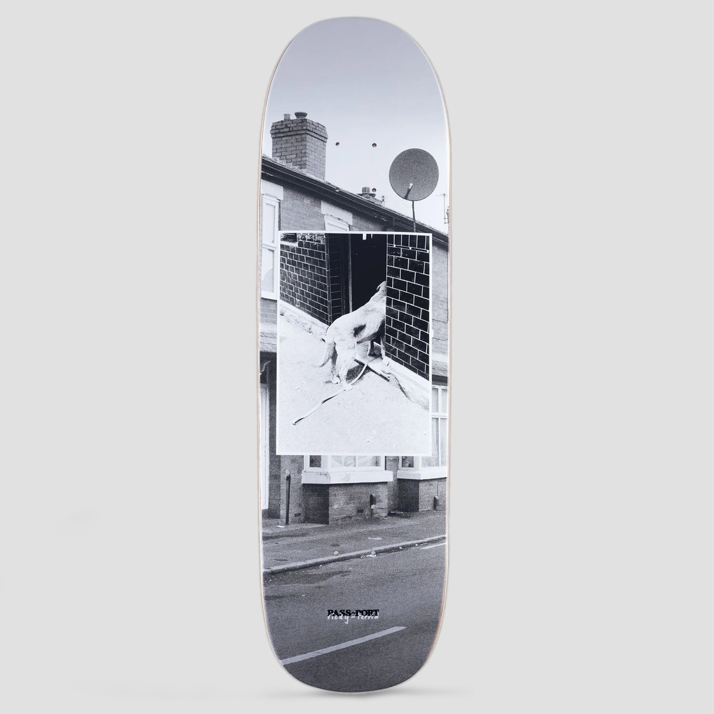 Passport 8.625 Ricky Terrid Series Inspected Softie Skateboard Deck