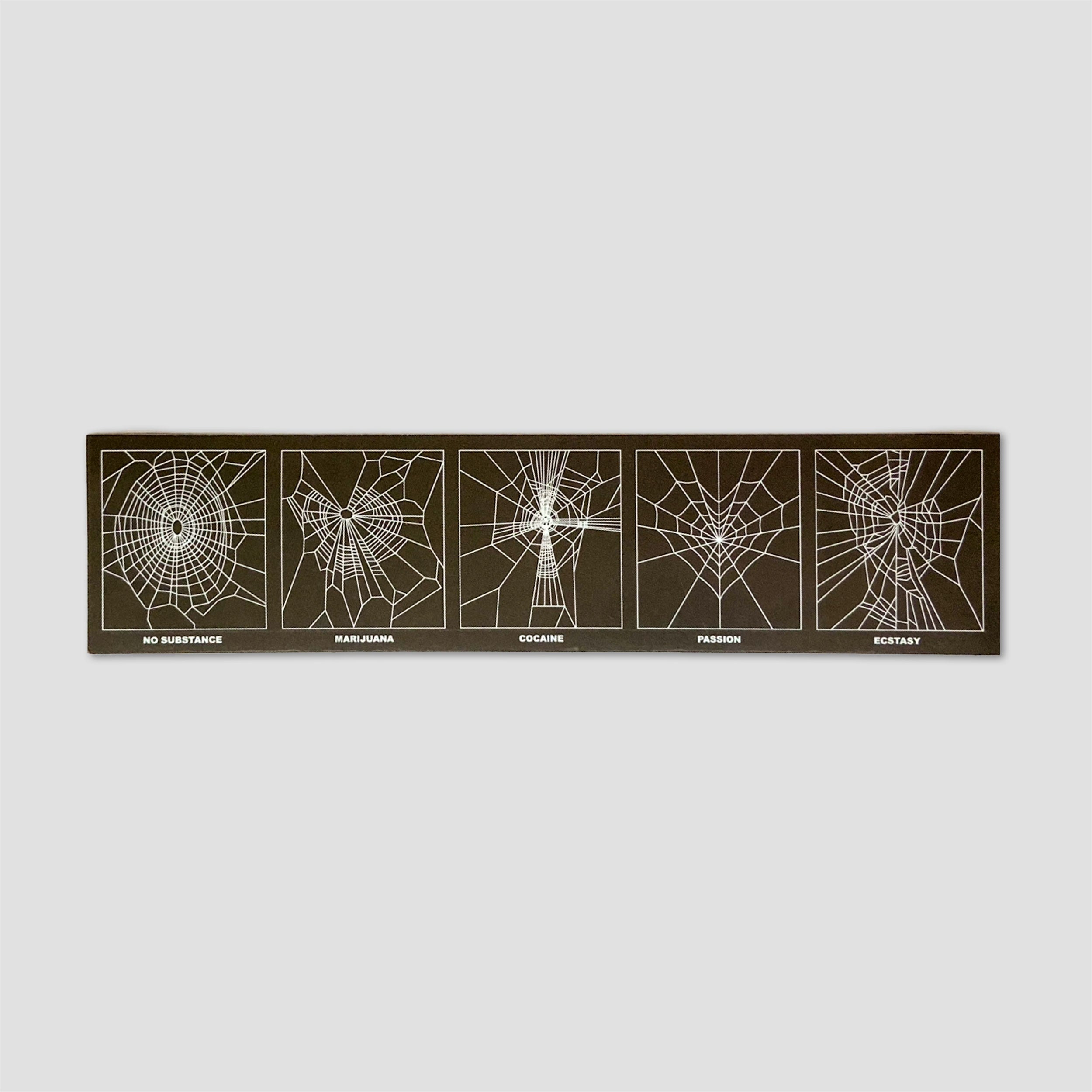 Passion Spider Study Fridge Magnet