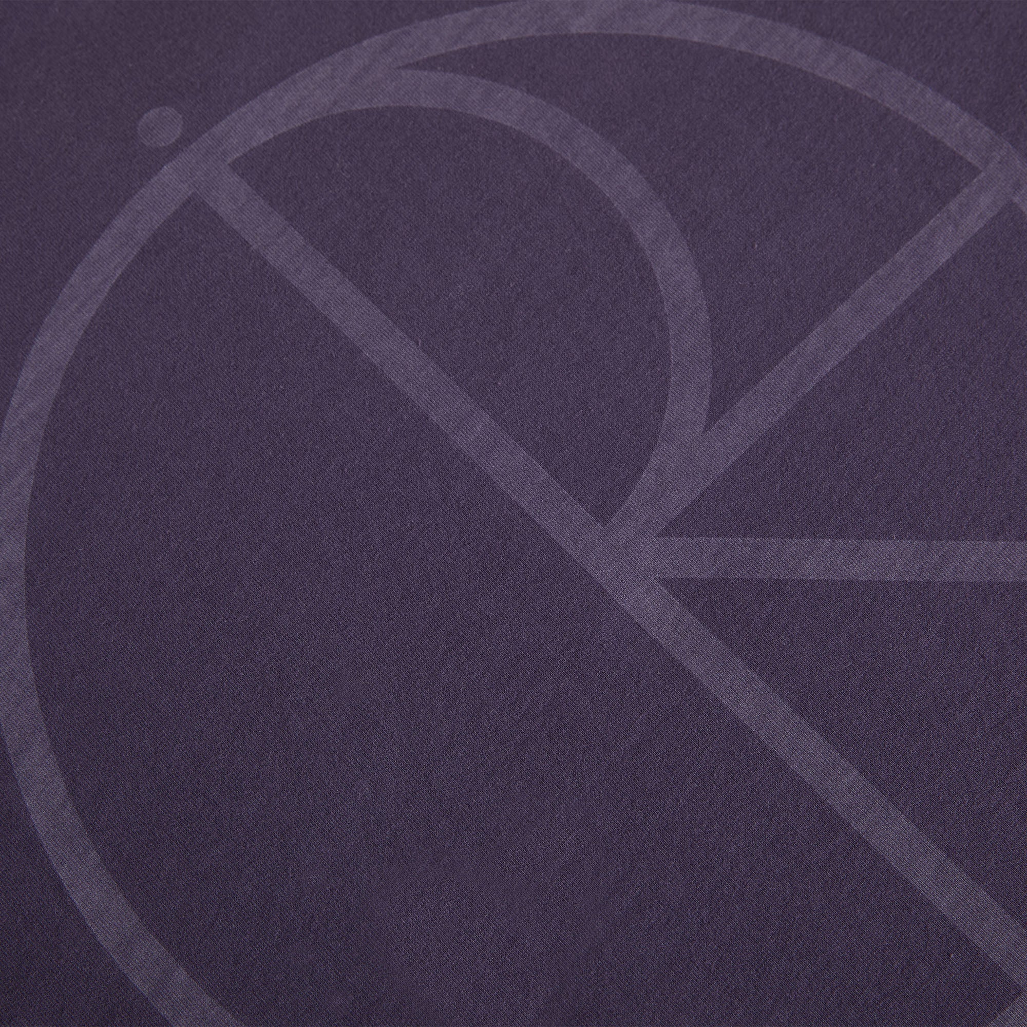 Polar Steve Longsleeve Stroke Logo T-Shirt Dark Violet