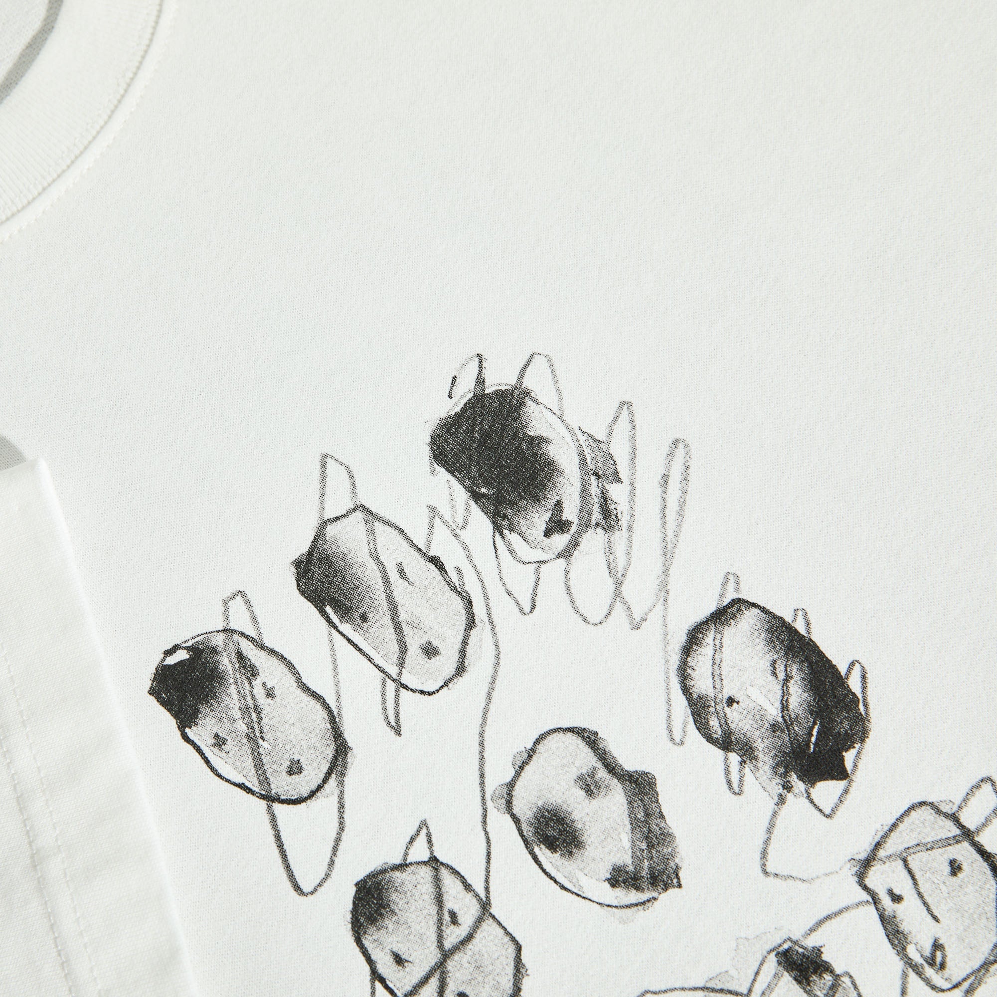 Polar Sequence T-Shirt Cloud White