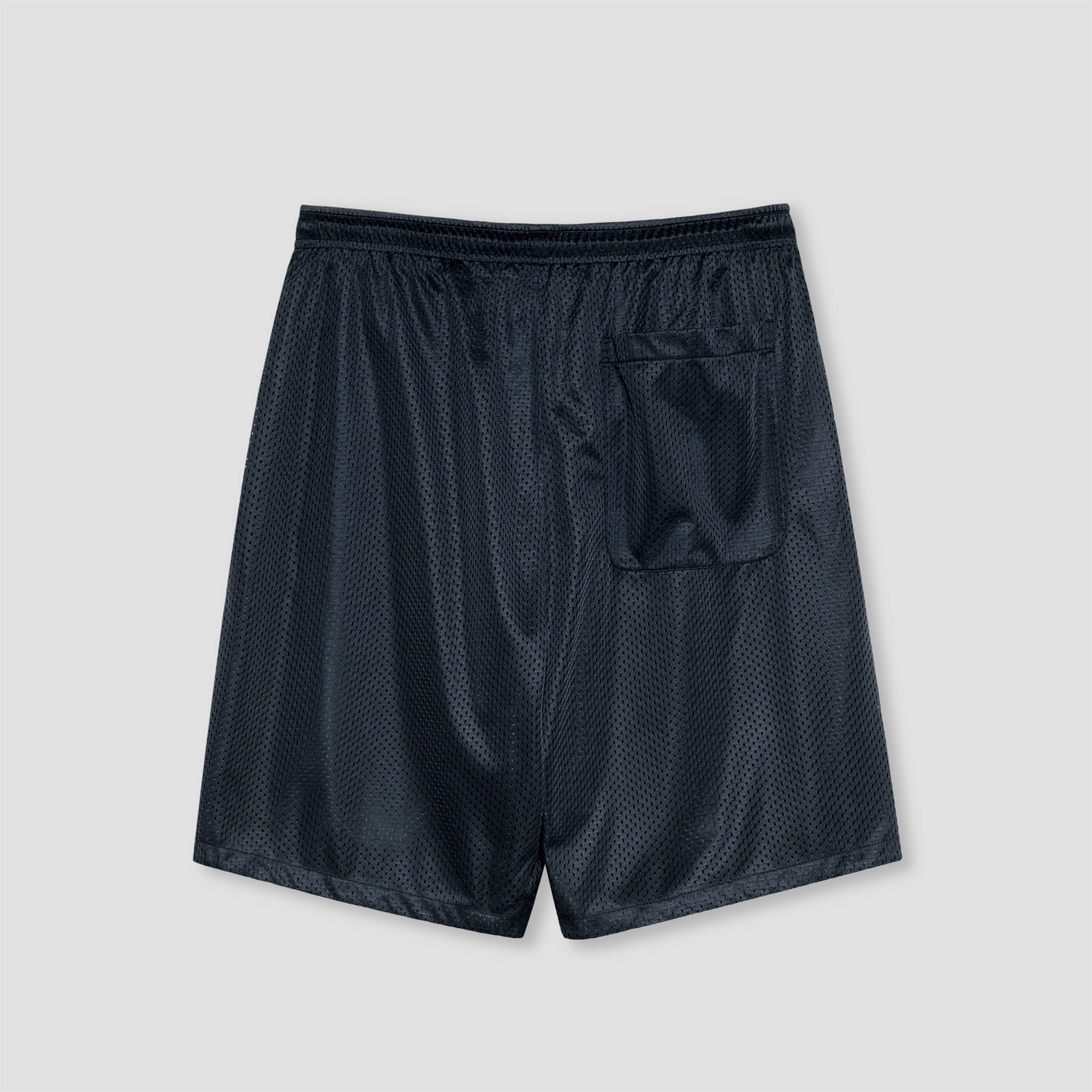 Polar Ray Shorts Navy