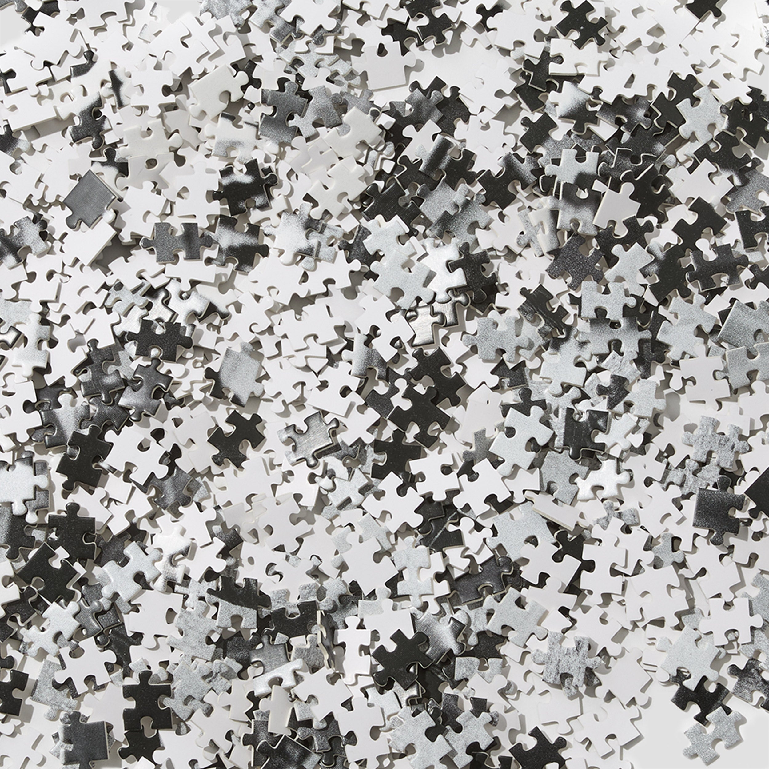 Polar Puzzle N.01 Multi