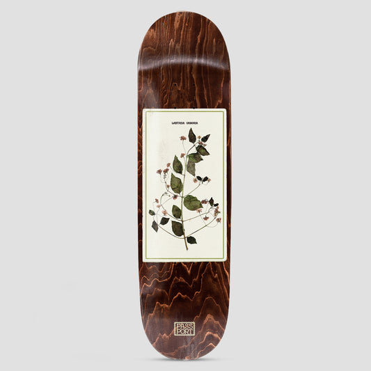 PassPort 8.5 Invasive Species Lantana Skateboard Deck