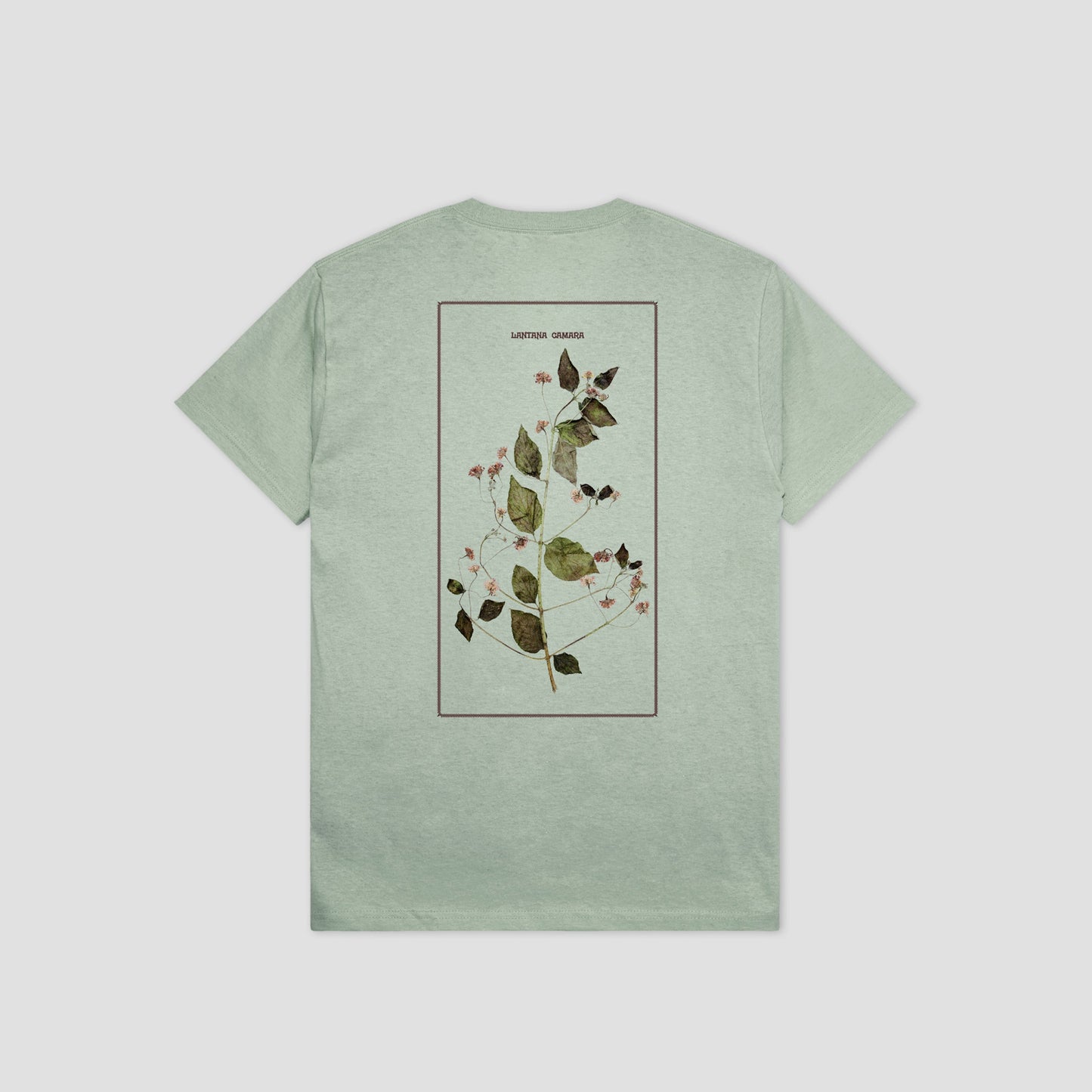 PassPort Lantana T-Shirt Stonewash Green