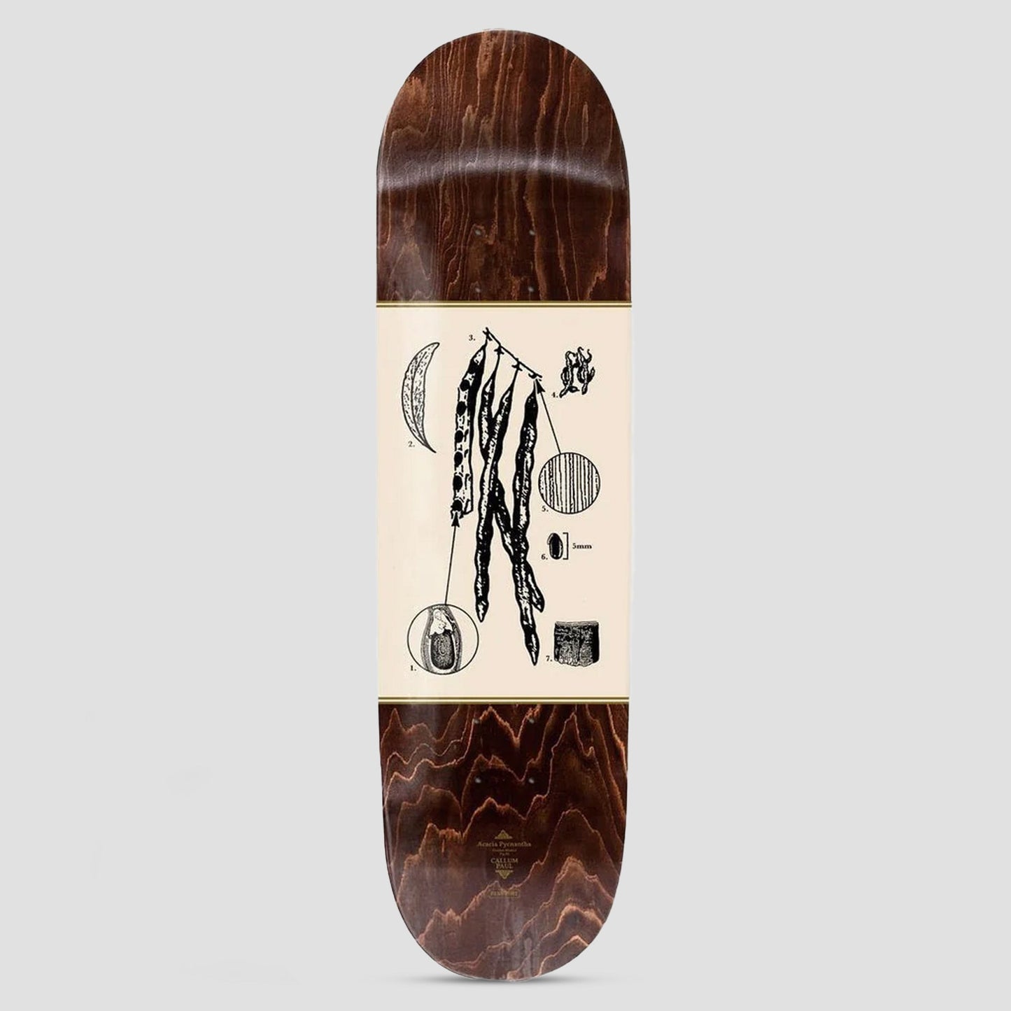 Passport 8.38 Pro Series Callum Acacia Skateboard Deck