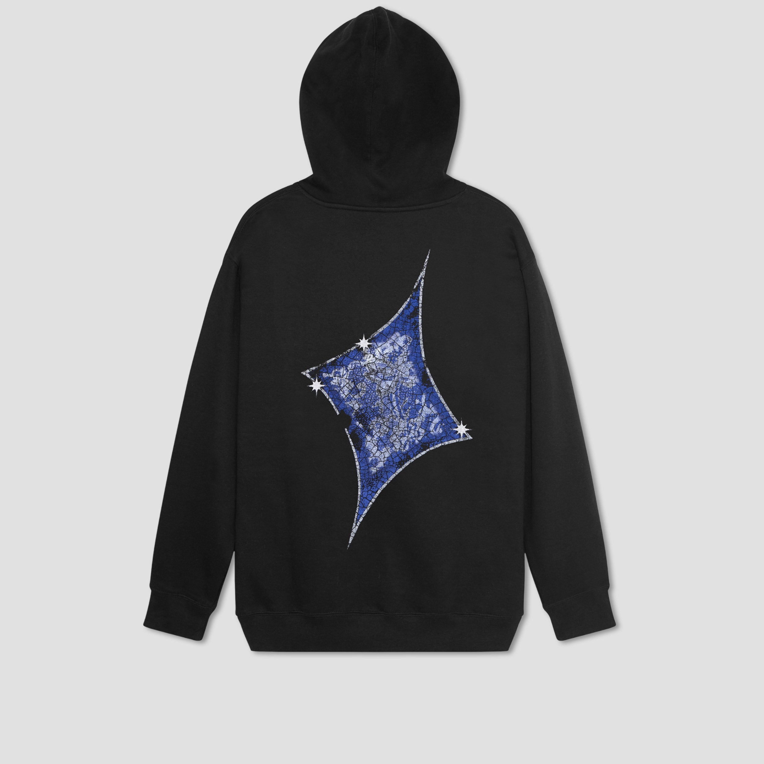 Passport Glint Zip Hoodie Black