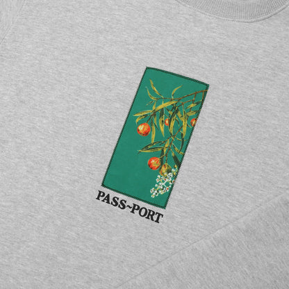 Passport Quandong Crew Ash