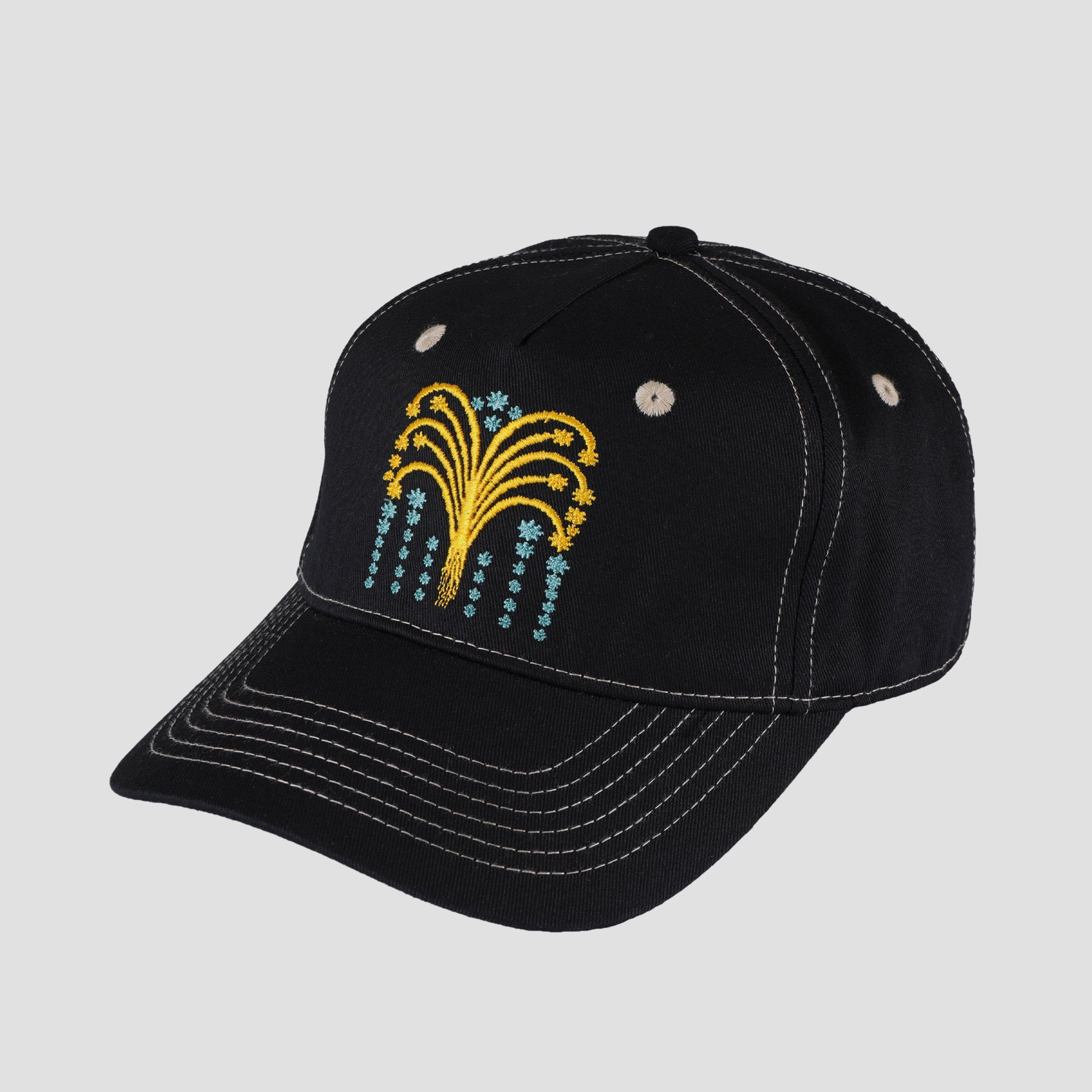 Passport Roman Candle Packers Cap Black