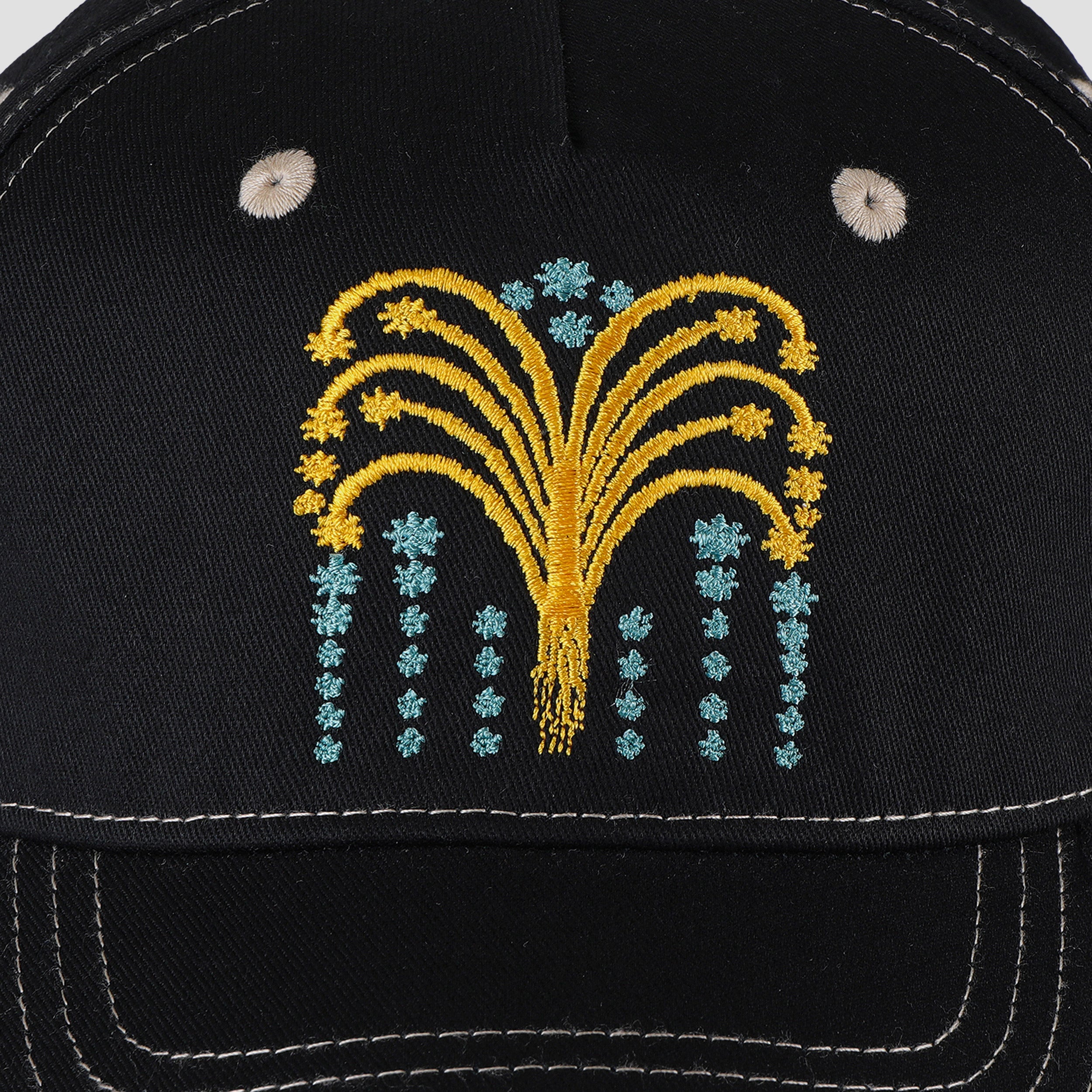 Passport Roman Candle Packers Cap Black