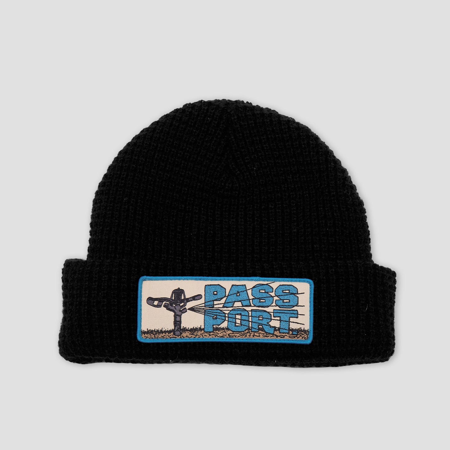 PassPort Water Restrictions Beanie Black